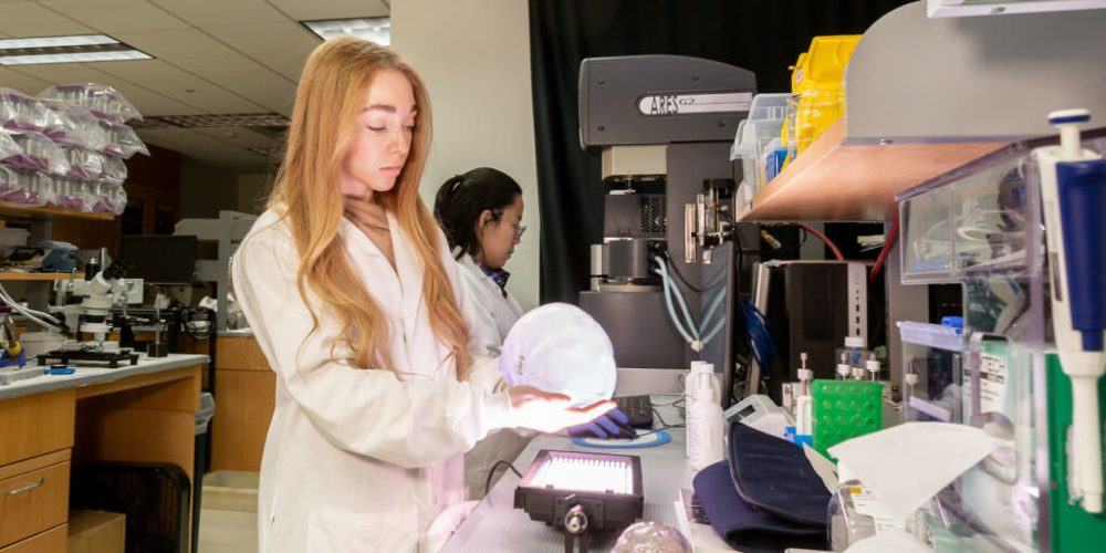 Undergraduate researcher Grace Kreissler holds a clear 3D-printed skull that the researchers created to aid in their investigation of traumatic brain injuries. PHOTO BY JOEL HALLBERG